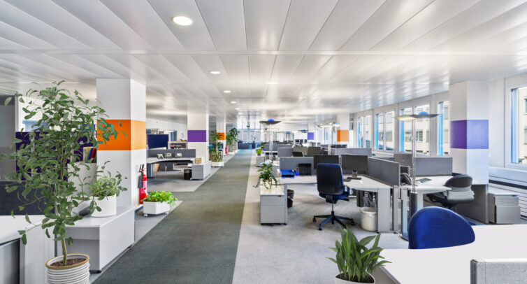 2405 1101 Fe5 C 1 OG 700m2 BKBN ALPFIN 416 web