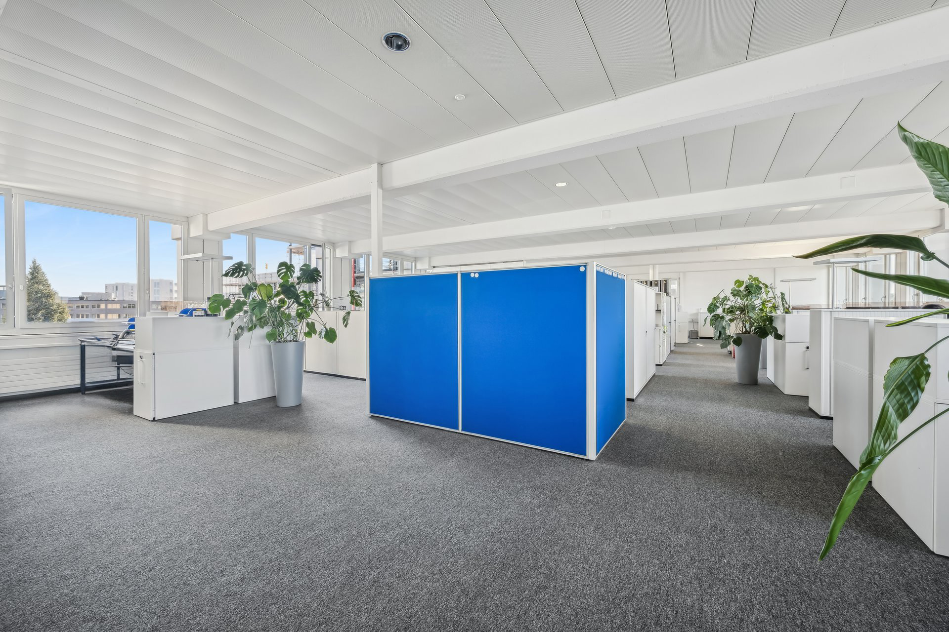 2525 1301 601032 A backbonephoto 001 2