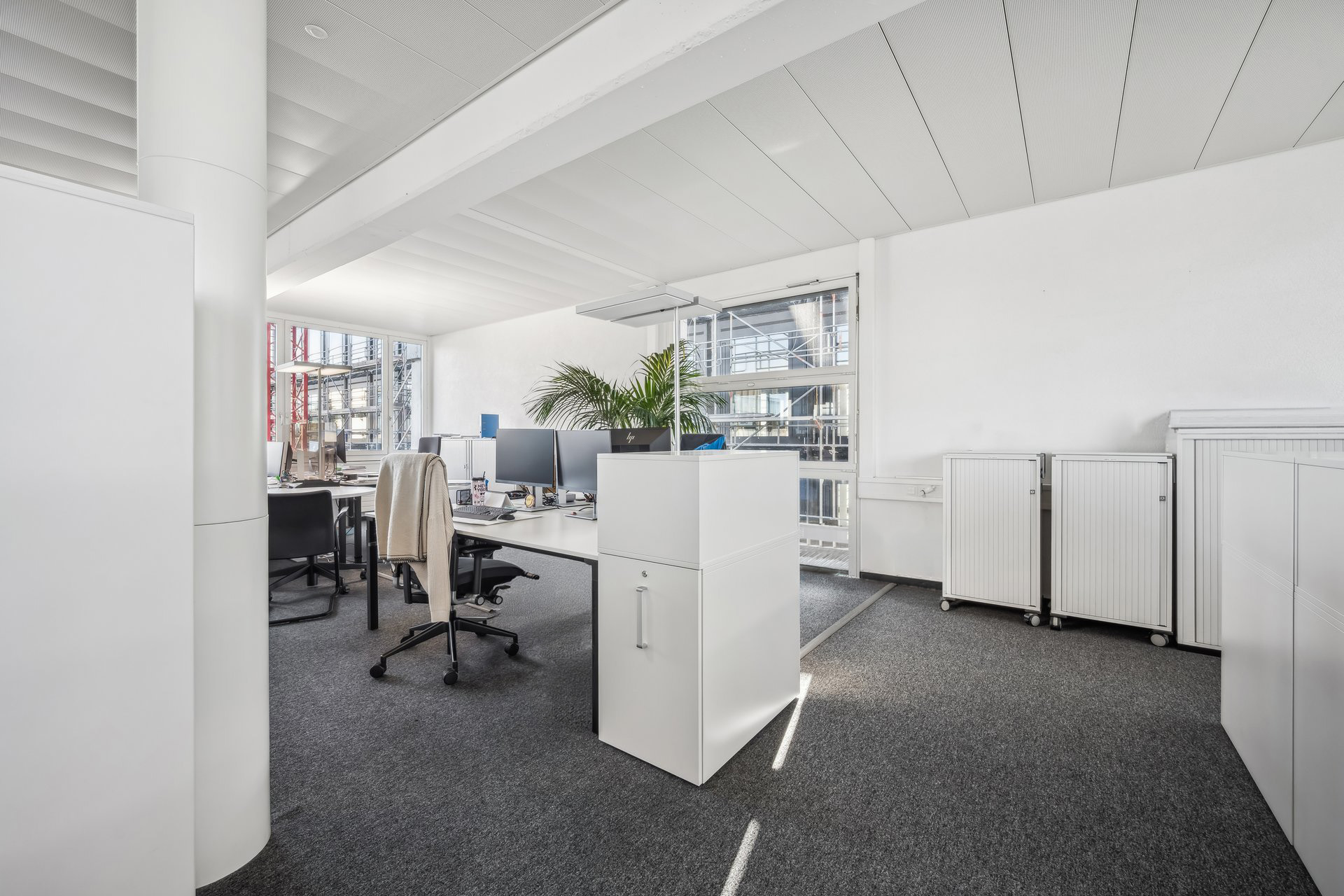 2525 1301 601032 A backbonephoto 013 2