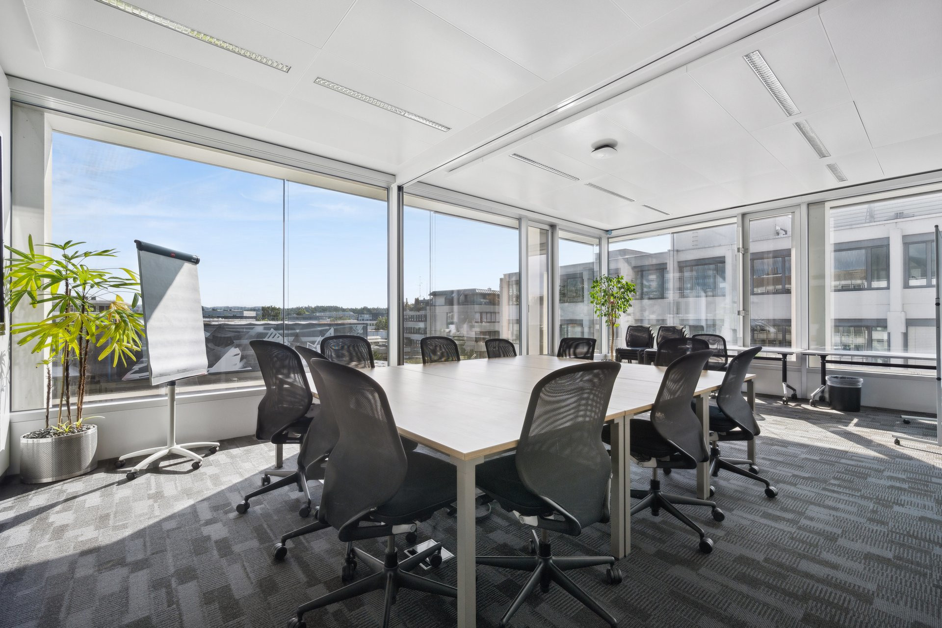 2529 1302 backbone 556676 A 001 WEB bearbeitet