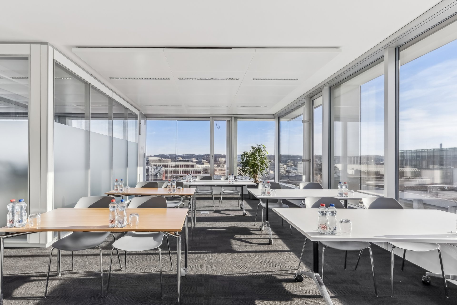 2529 1502 601028 A backbonephoto 016