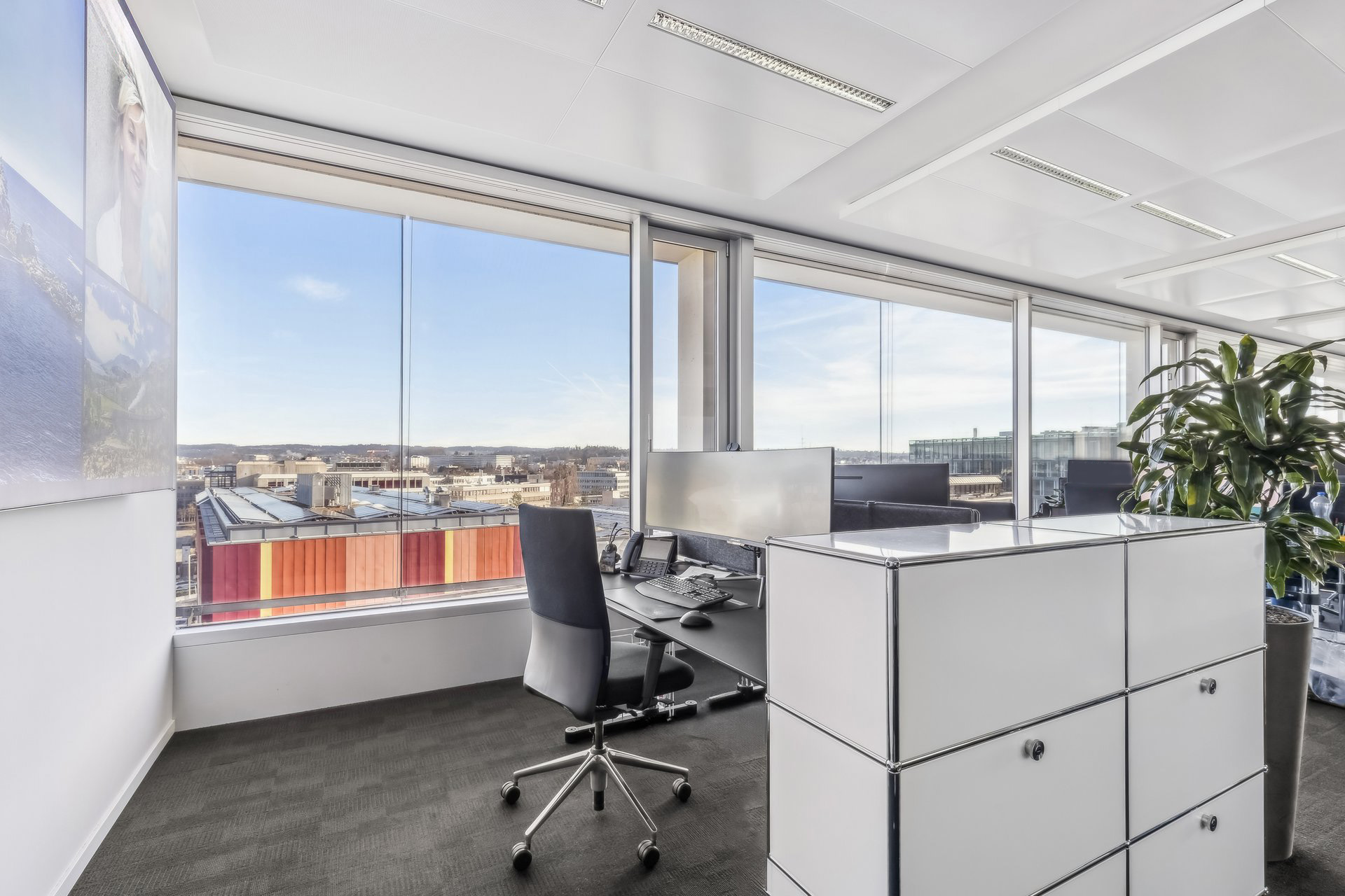 2529 1502 601028 A backbonephoto 028 2