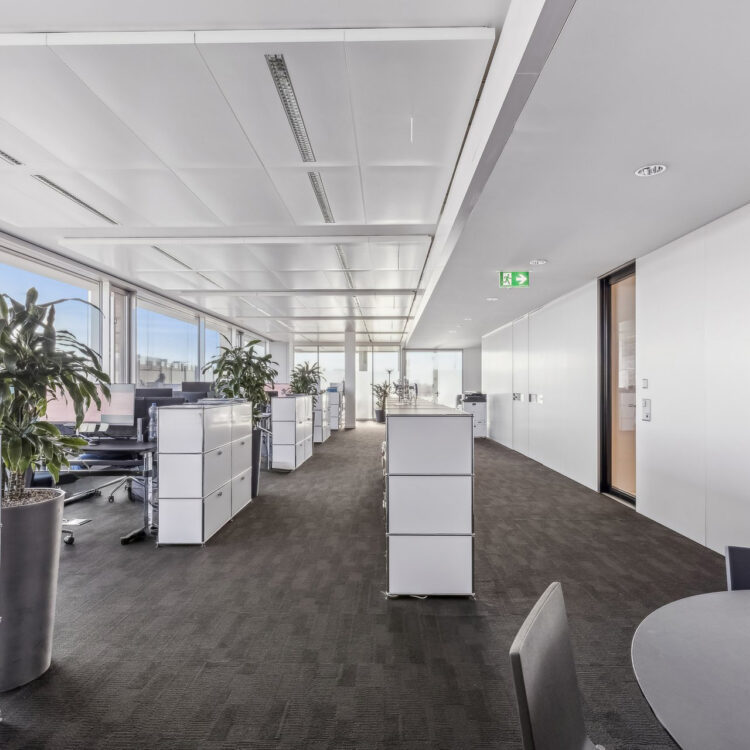 2529 1502 601028 A backbonephoto 025 2