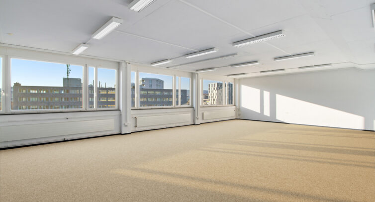 2521 1301 Sae21 C 3 OG 462m2 BKBN ALPFIN 132 web